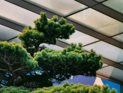 ArcaneBet Casino Farsímaforrit